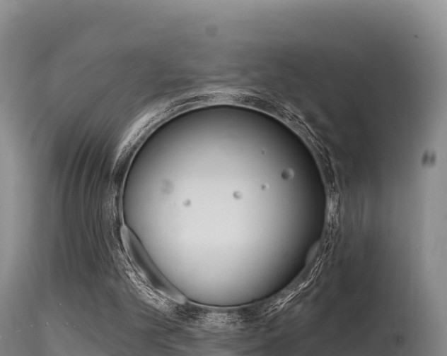 X0000115670101200911121015