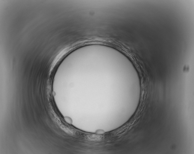 X0000115670102200911121015