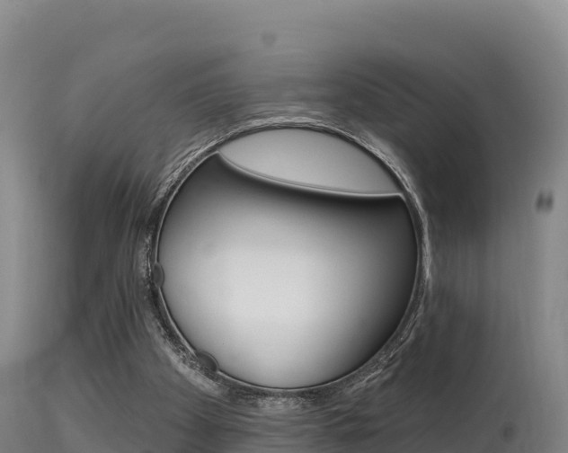 X0000115670105200911121015