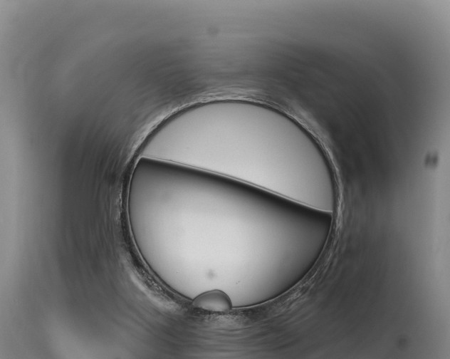 X0000115670107200911121015