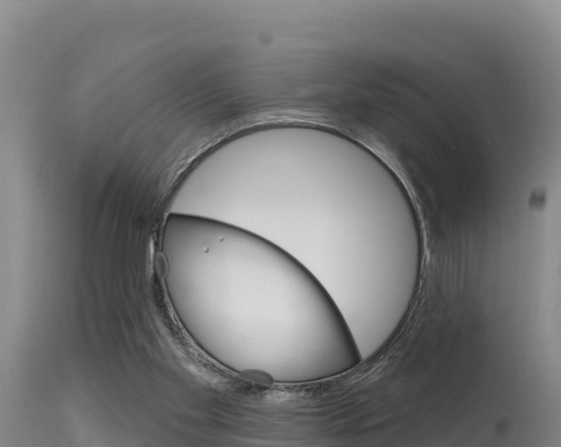 X0000115670109200911121015