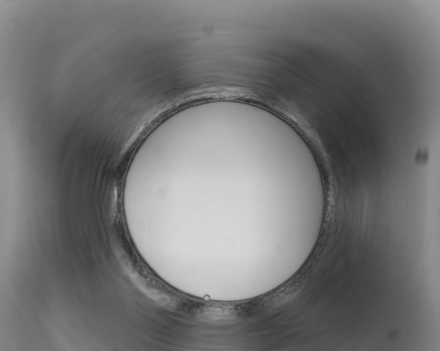 X0000115670110200911121015