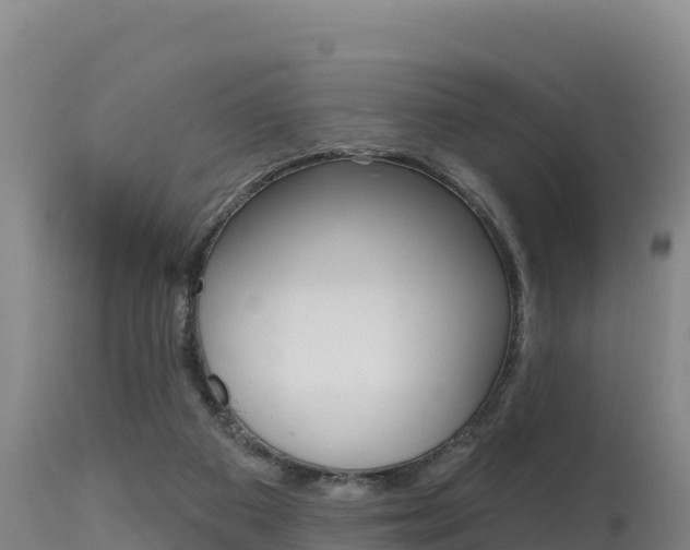 X0000115670113200911121015