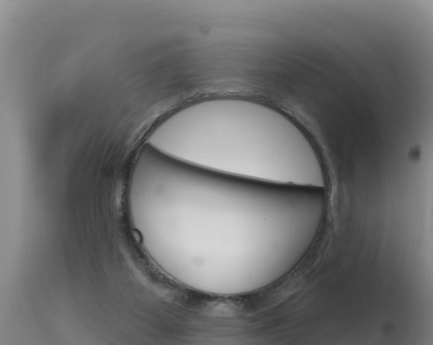 X0000115670115200911121015