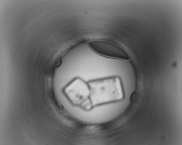 X0000115670117200911121015