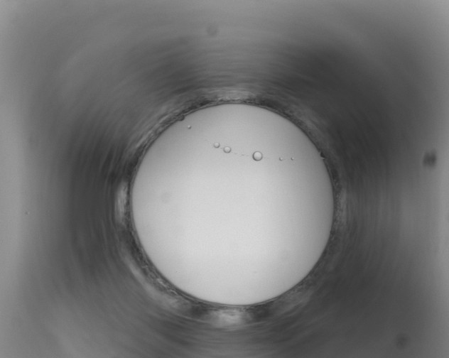 X0000115670118200911121015