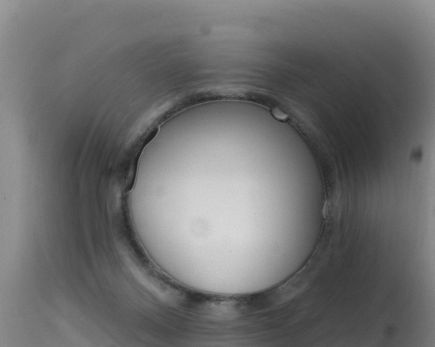 X0000115670120200911121015