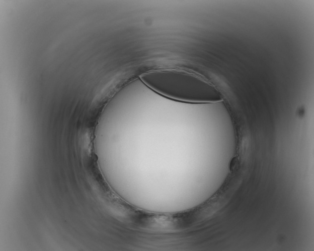 X0000115670121200911121015