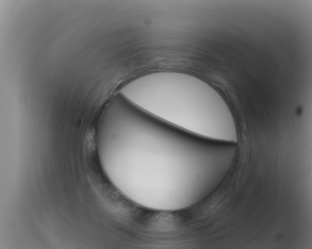 X0000115670123200911121015