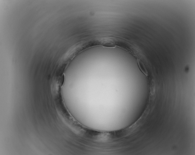 X0000115670124200911121015