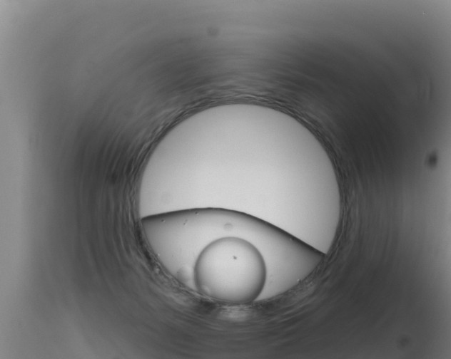 X0000115670127200911121015