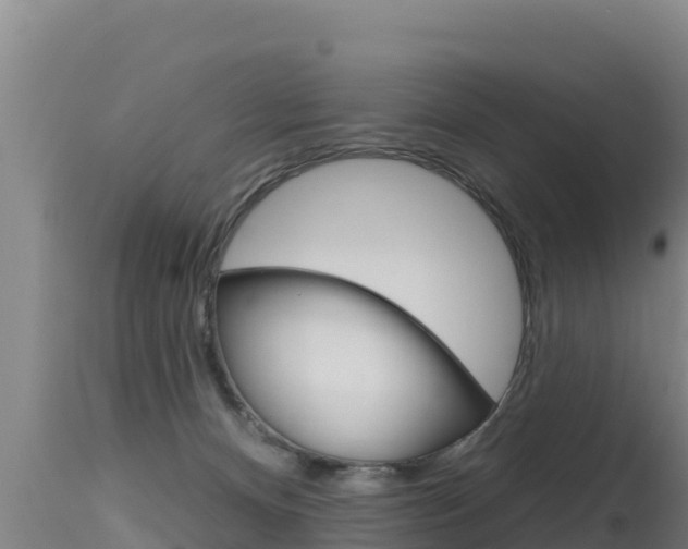 X0000115670128200911121015