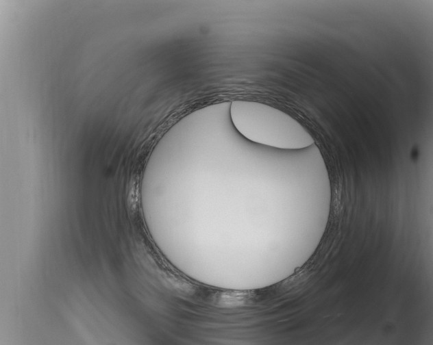 X0000115670134200911121015