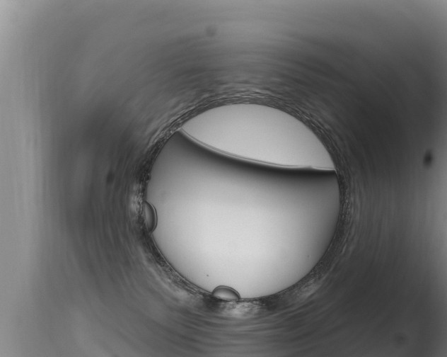 X0000115670135200911121015