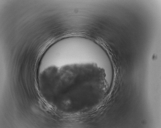 X0000115670145200911121014