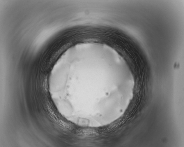 X0000115670146200911121014