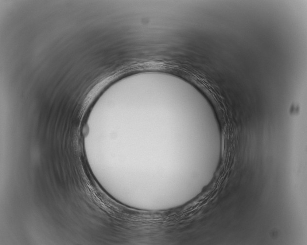 X0000115670147200911121014