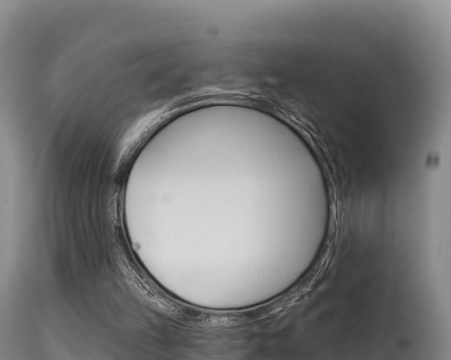 X0000115670149200911121014