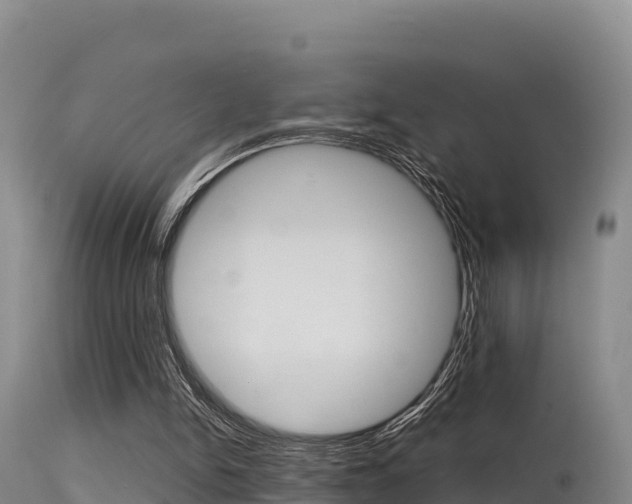 X0000115670150200911121014