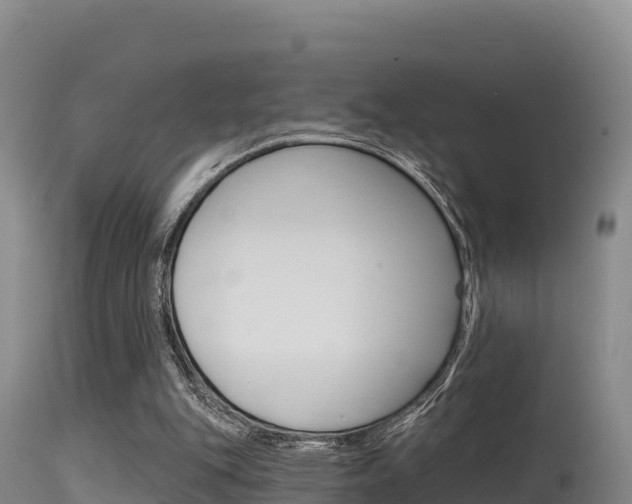 X0000115670151200911121014