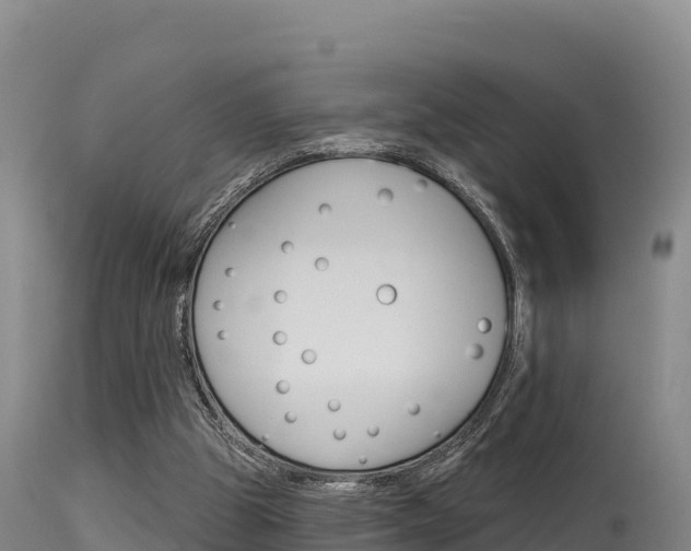 X0000115670153200911121014