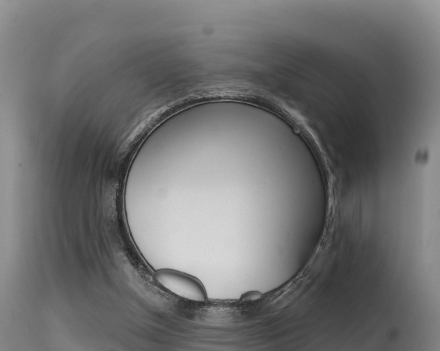 X0000115670154200911121014