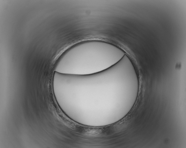 X0000115670155200911121014
