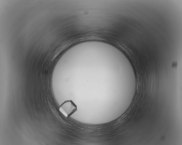 X0000115670158200911121014