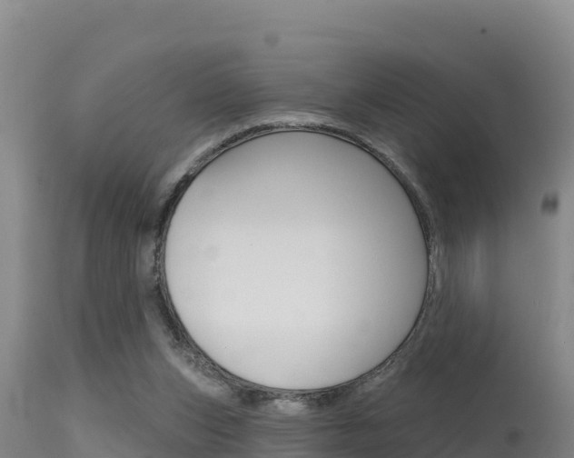 X0000115670159200911121014