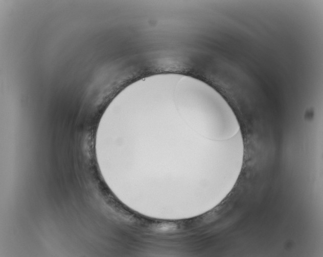 X0000115670162200911121014