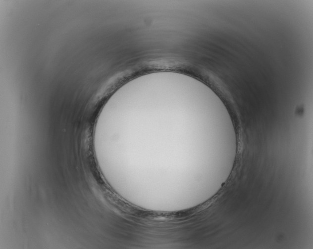 X0000115670163200911121014
