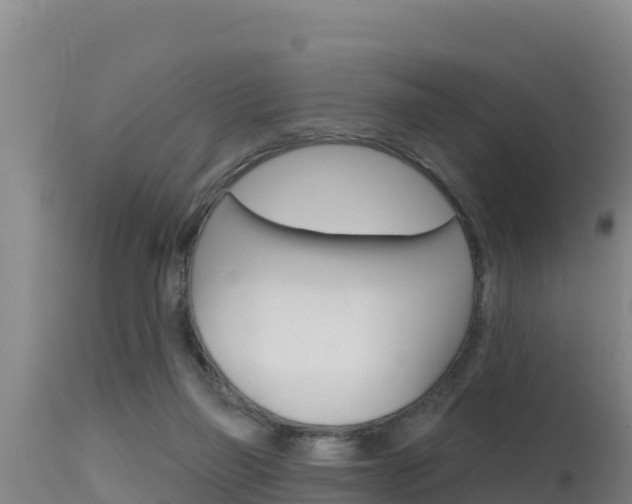 X0000115670165200911121014