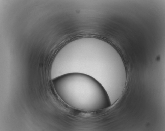 X0000115670170200911121014