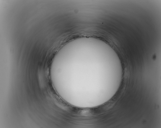 X0000115670173200911121014