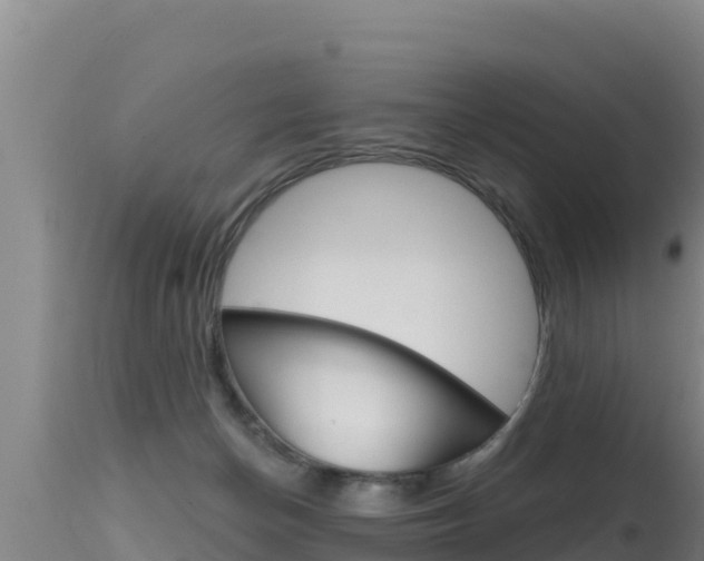 X0000115670174200911121014