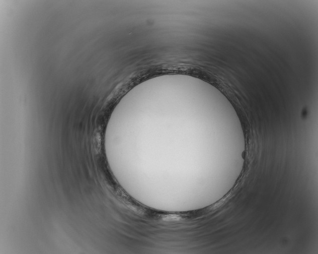 X0000115670183200911121015