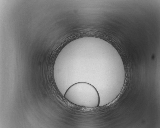 X0000115670186200911121015