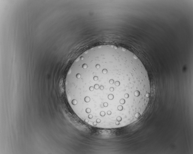 X0000115670187200911121015