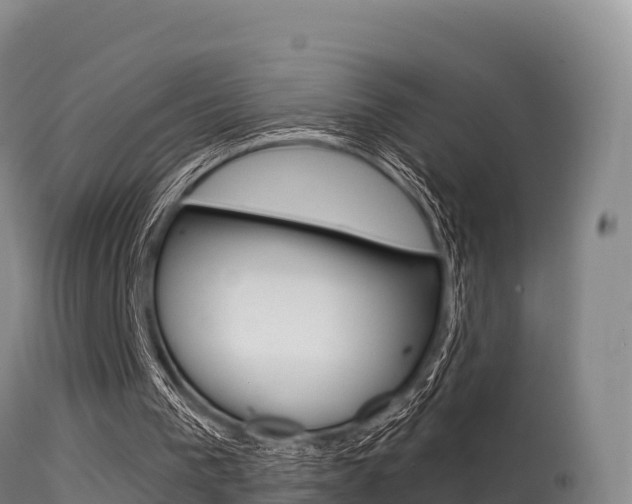 X0000115670193200911121014