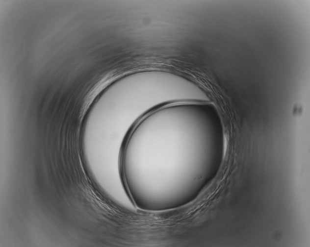 X0000115670195200911121014