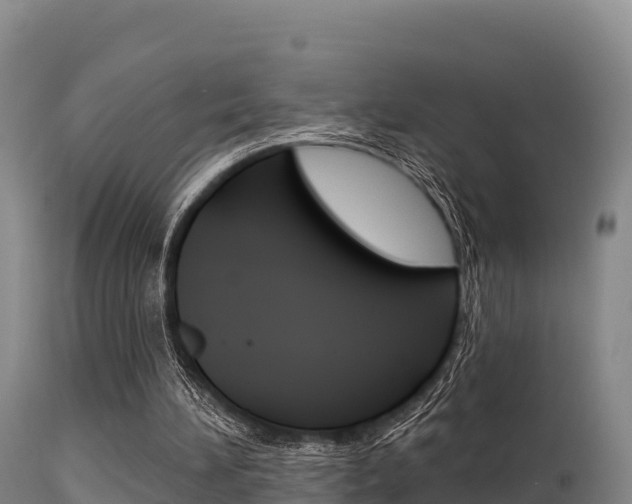 X0000115670196200911121014