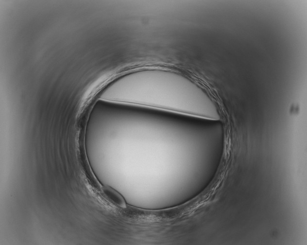 X0000115670197200911121014