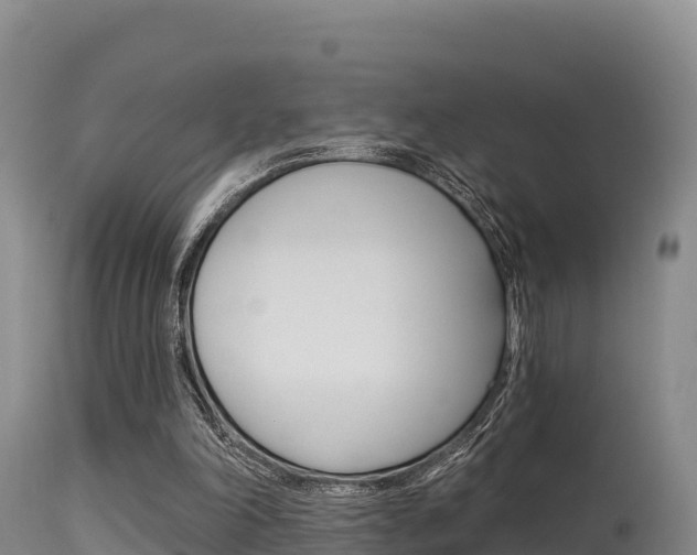 X0000115670198200911121014