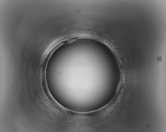 X0000115670199200911121014