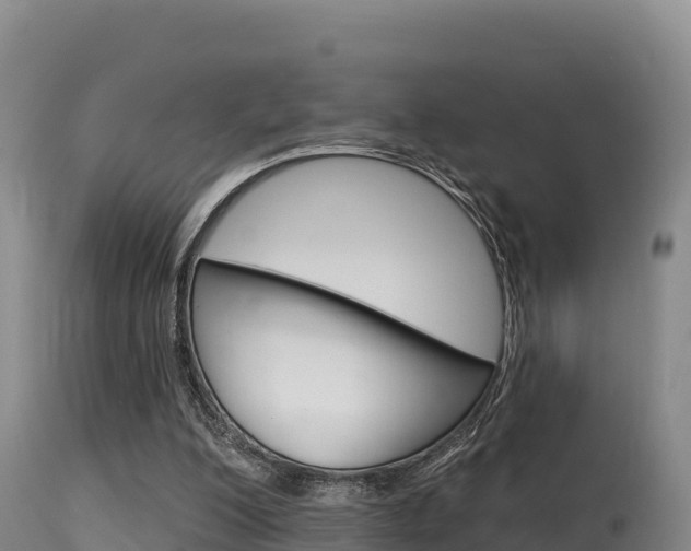 X0000115670200200911121014