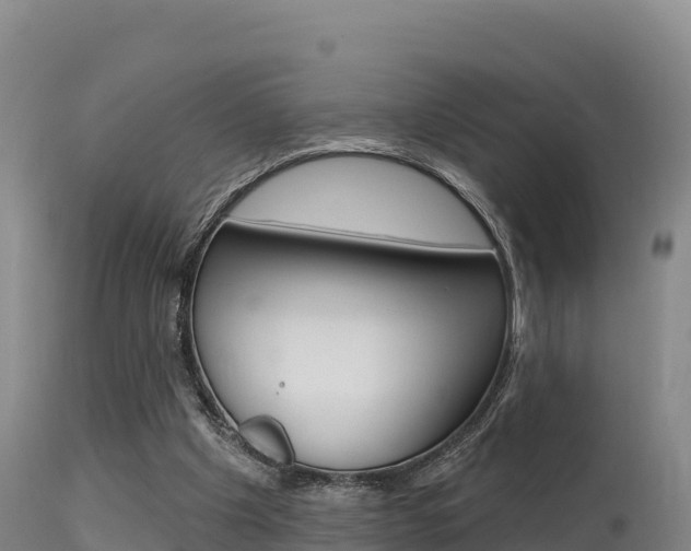 X0000115670201200911121014