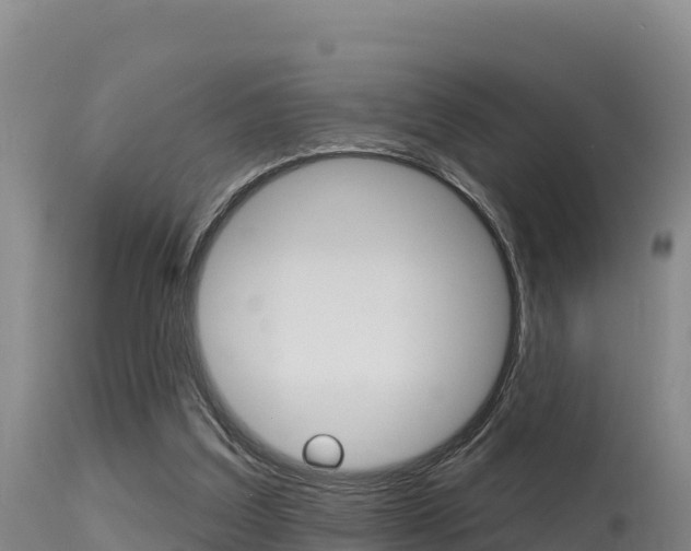 X0000115670203200911121014