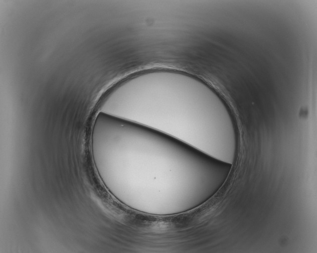 X0000115670204200911121014