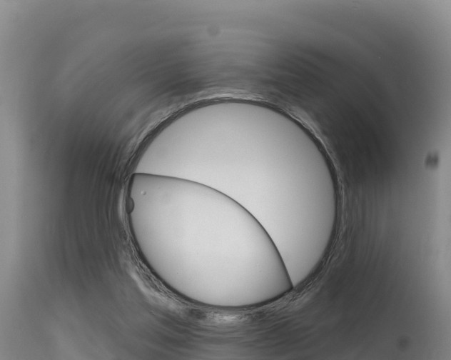 X0000115670205200911121014
