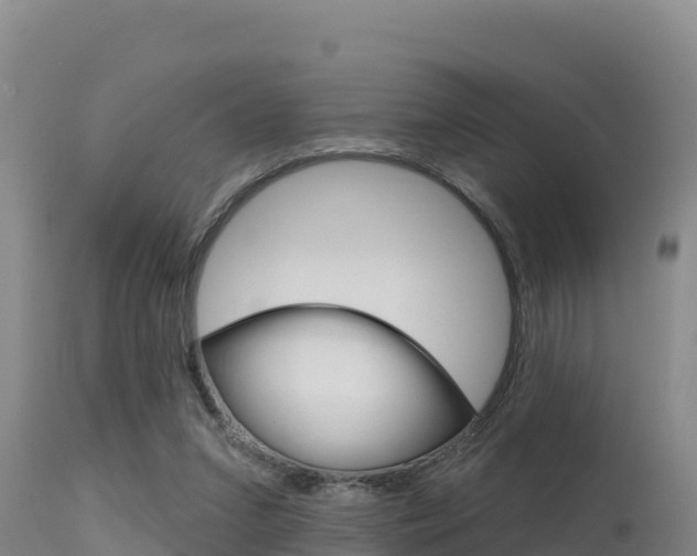 X0000115670207200911121014